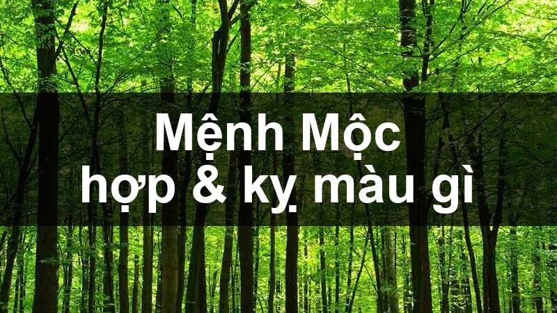 menh-moc-hop-mau-gi-1