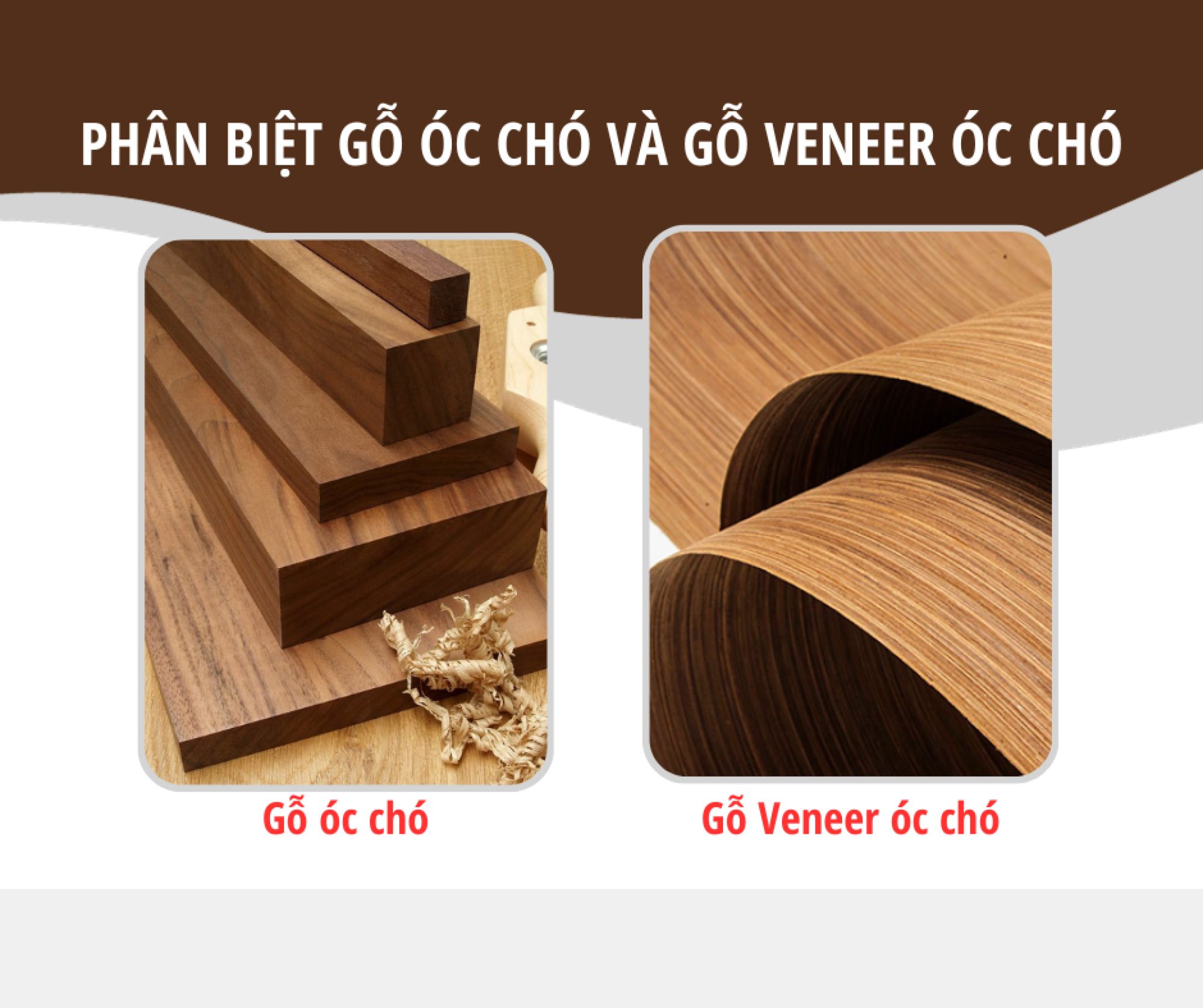 Phân biệt gỗ veneer óc chó và gỗ óc chó tự nhiên chi tiết