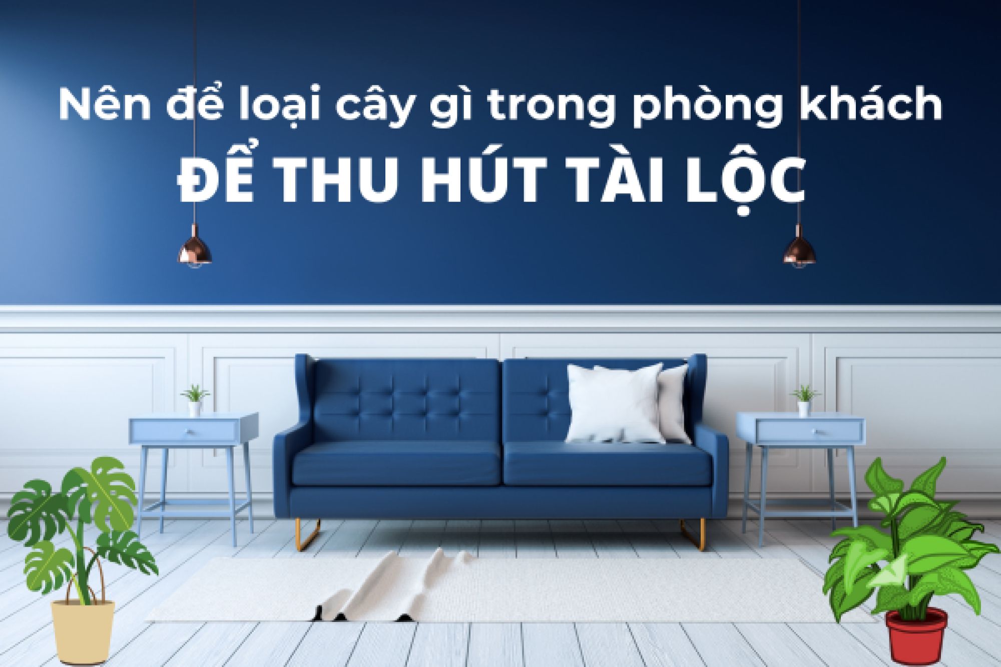 NÊN ĐẶT LOẠI CÂY GÌ TRONG PHÒNG KHÁCH ĐỂ THU HÚT PHONG THỦY?