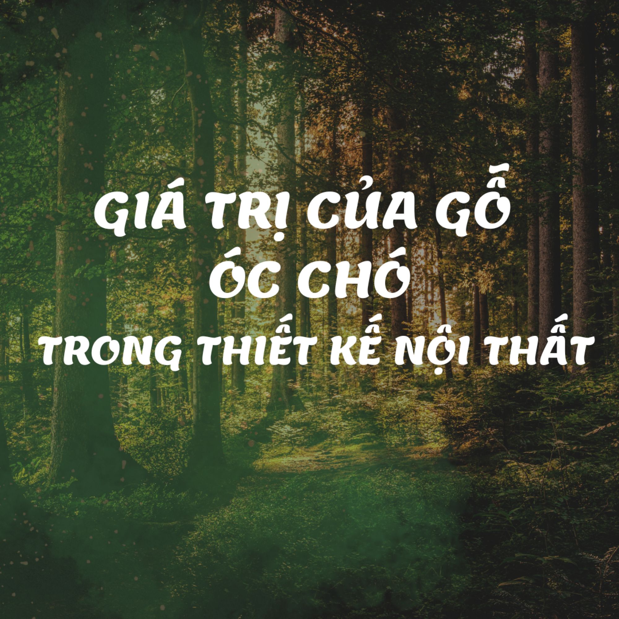 Thiết Kế Thi Công Nội Thất Gỗ Óc Chó Cho Không Gian Nhà Đẹp Đẳng Cấp - Đậm Chất Riêng