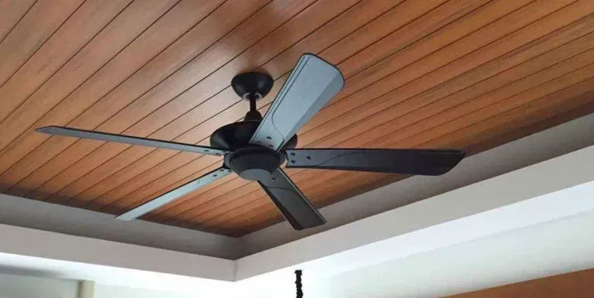 Top 19 mẫu trần gỗ đẹp được nhiều gia chủ thi c&ocirc;ng nhất 2026